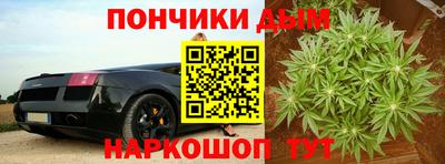 наркотики Кингисепп