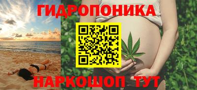 индика Кимры
