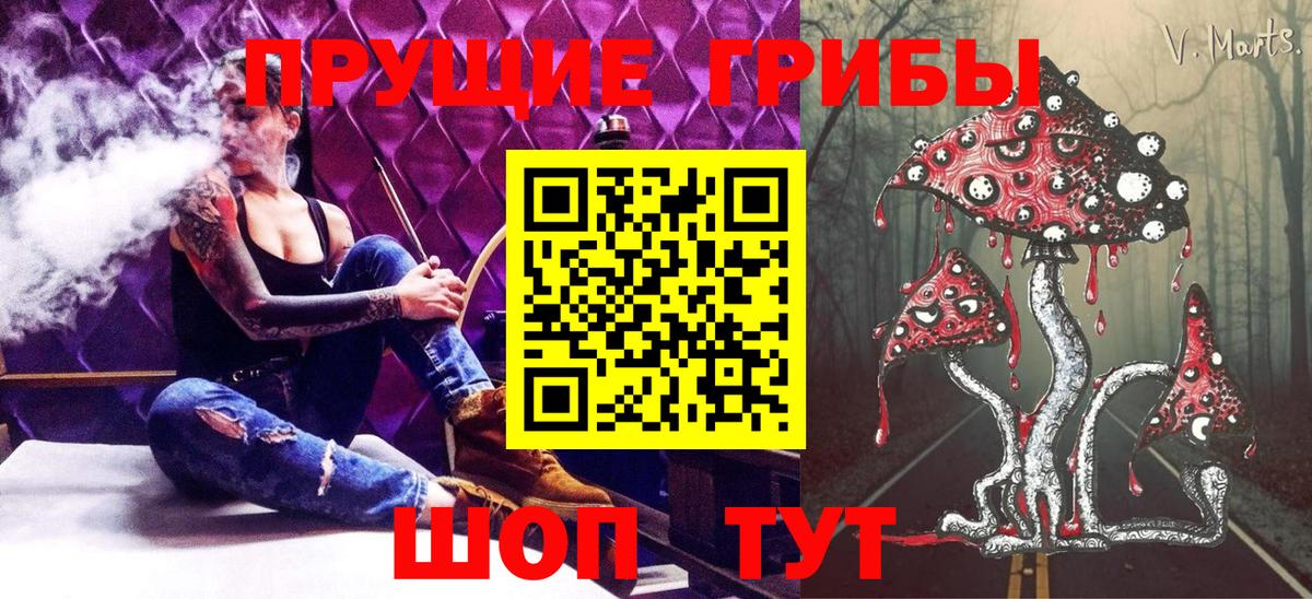 Галлюциногенные грибы Psilocybine cubensis Азов