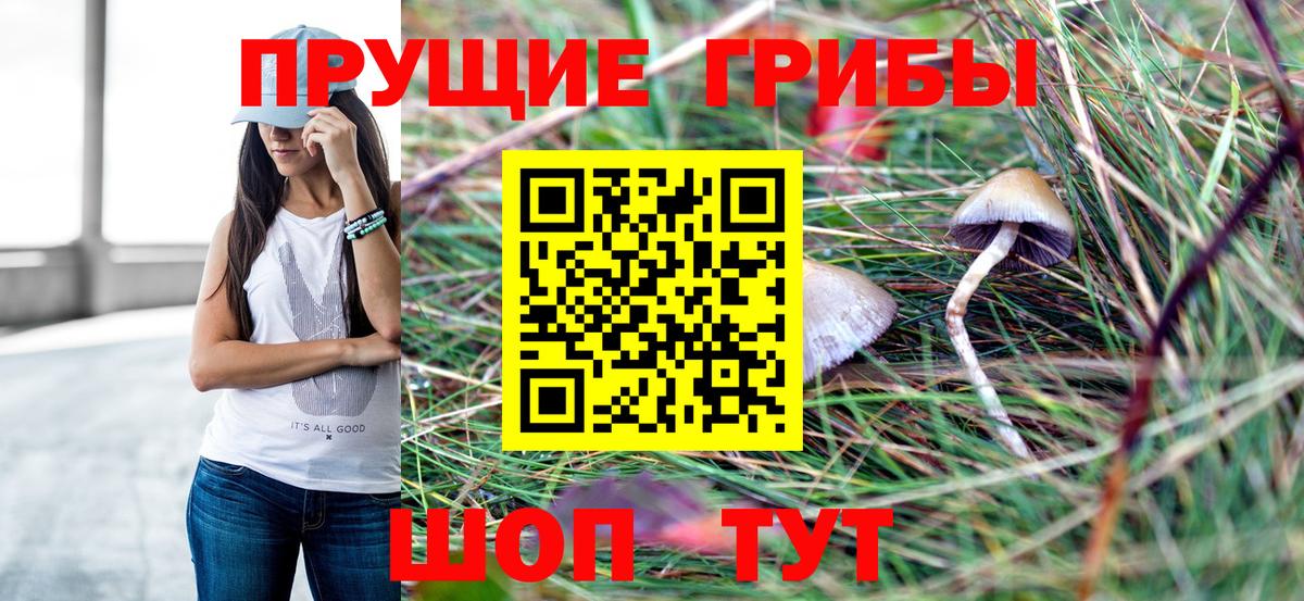 Галлюциногенные грибы Cubensis  Вход с VPN  Азов 